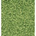 Wall-To-Wall 6 ft. x 9 in. Kidplush Solid Rectangle Rug - Limeade WA1705315